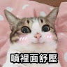 貓咪拉水水
