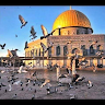 Nourhan negm 
