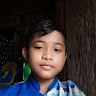 Shandy jansa