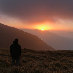 張峻嘉