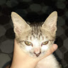 Created by
