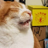 宏 2