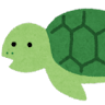 turtleeen