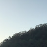 思賢