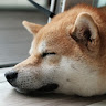 陳毓航