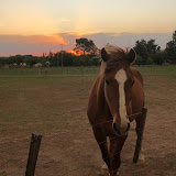 Liliana Fernanda Cervin