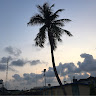 Kanyi Tosanwunmi