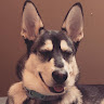 Morganne W.'s profile image