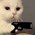 Kullanıcı: 陳品呈