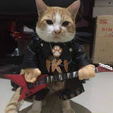 kucing oren bar bar
