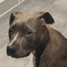 EdrawMax user profile image