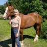 Sandy R.'s profile image