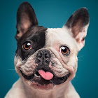 ผู้ใช้: Rafael Estevam