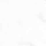 مينا الجزائر