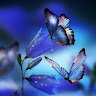 user-avatar