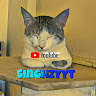 SinghzyYT