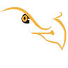 Writer: eagleeyedrones