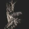 Created by