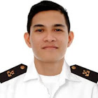 Utilizator: Vincent Rabasto