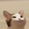 Tidal專用號