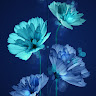 Minu Mary Mathew