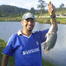 Alex Sandro Guedes dos Santos