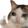 就挺
