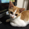 執筆者の写真: Tama 玉之丞