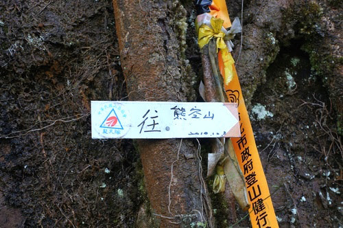 台北景點推薦-三峽櫻花秘境【熊空山觀天下農場】