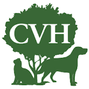 CVH AL 300000.1.41 Icon