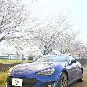 BRZ ZC6