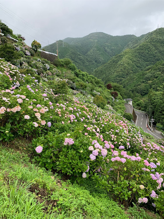 の投稿画像3枚目