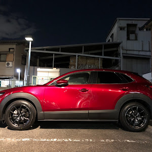 CX-30 DMEP