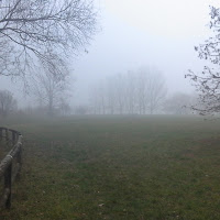 Nebbia padana di 