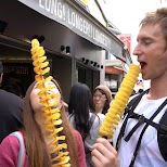 Long, Longer, Longest fried potato chips in Harajuku in Tokyo, Tokyo, Japan