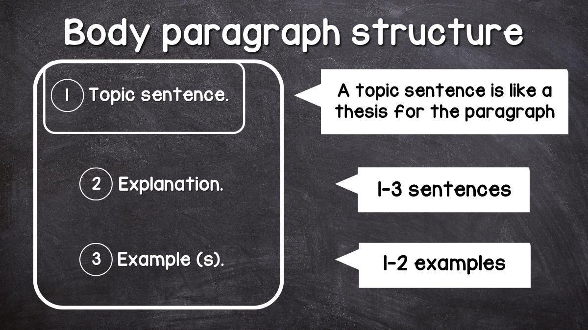 essay about myself 3 paragraph