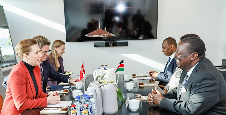 Prime Cabinet Secretary and Cabinet Secretary for Foreign and Diaspora Affairs Musalia Mudavadi among other Kenyans and dignitaries from The Kingdom of Denmark during a meeting on March 11, 2024.