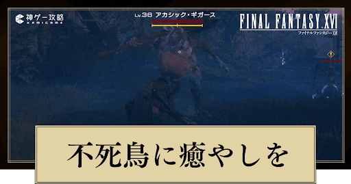 FF16_不死鳥に癒しをの進め方