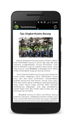 Master Kicau Cucak Ijo