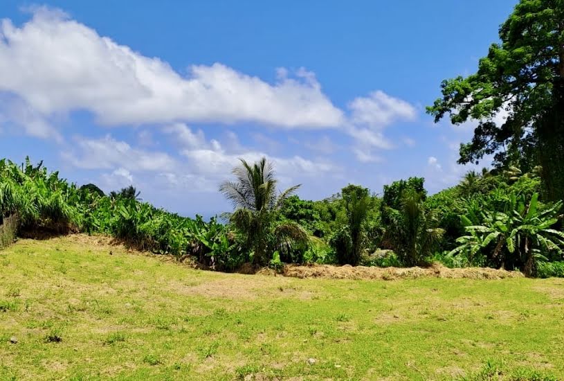  Vente Terrain à bâtir - à Le Lorrain (97214) 