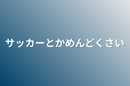 サッカーとかめんどくさい