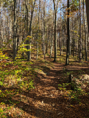 Bürgermeisterhöhe top part