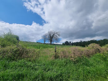 terrain à batir à Coulonges-Cohan (02)