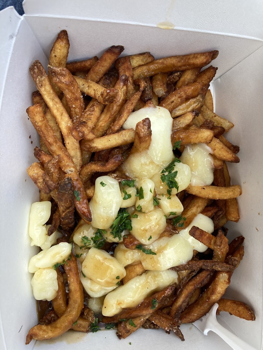 Poutine fries