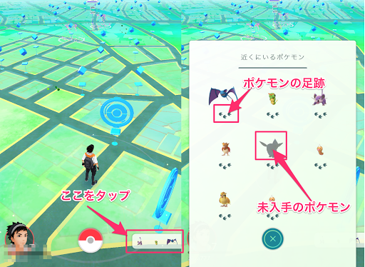 ポケモンgo ポケモンの下の足跡って何を表してるの