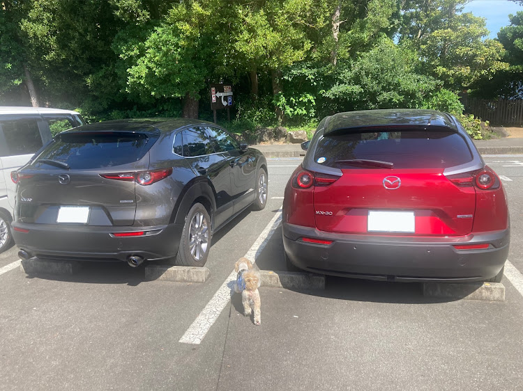 CX-30の家族旅行・温泉掛け流し・伊豆高原・弾丸ツアー・MX-30に関するカスタム事例の投稿画像2枚目