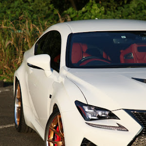 RC F USC10