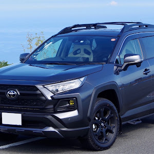 RAV4 MXAA54