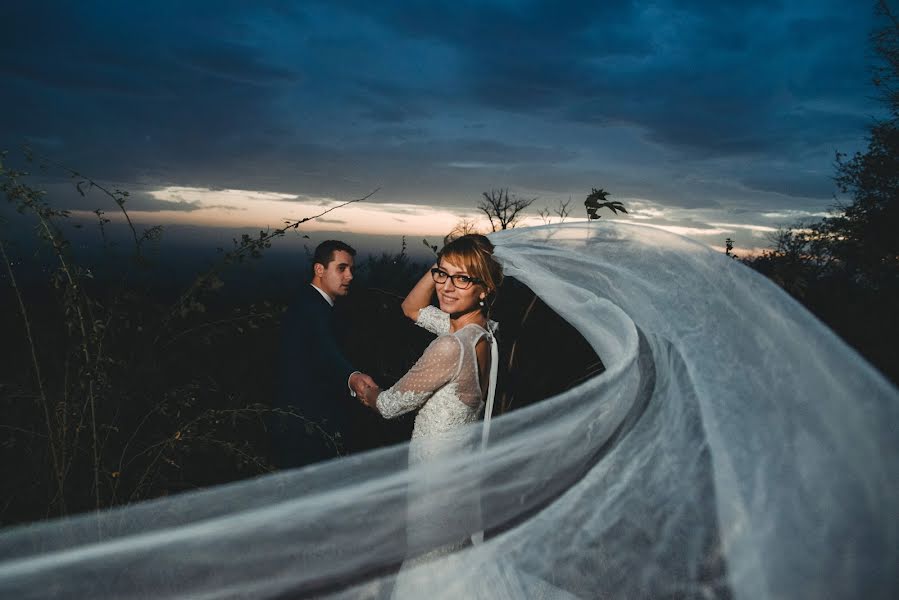 Hochzeitsfotograf Nikola Segan (nikolasegan). Foto vom 2. Dezember 2018