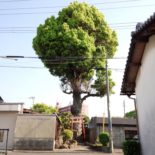 赤鳥居